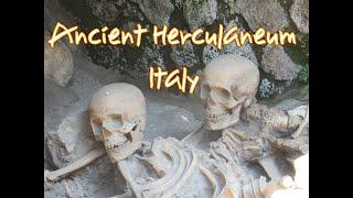 Herculaneum Skeletons.(Destroyed with Pompeii in 79 AD.)