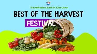 The Best of the Harvest Festival 2024