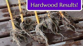 Hardwood Cuttings Results: Cold Season Propagation