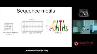 Deep learning for genomics - Anshul Kundaje