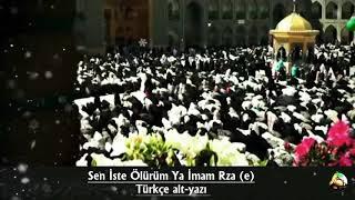 Sen İste Ölürüm İmam Rza (e) - Türkçe alt-yazı Montaj - ruslan recebov