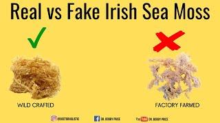 Real vs. Fake Irish Sea Moss