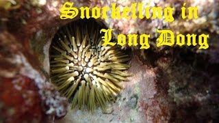 Snorkelling of Long Dong