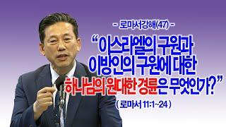 [로마서강해(47)] 이스라엘의 구원과 이방인의 구원에 대한 하나님의 원대한 경륜은 무엇인가?(롬11:1~24)_동탄명성교회 정보배목사