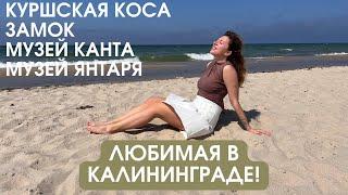 Что посмотреть в Калининграде? Куршская коса, Танцующий лес, Отпуск в Калининграде