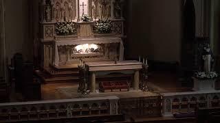 Daily 11:45 AM Mass from St. Patrick's Church, Columbus, OH August 5, 2024