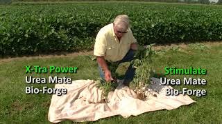 Soybean X Tra Power Stimulate