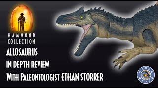 IN DEPTH REVIEW of the Hammond Collection ALLOSAURUS with Paleontologist Ethan Storrer