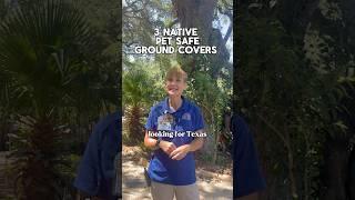Looking for lawn alternatives? Here are 3 Texas native pet safe ground covers! 