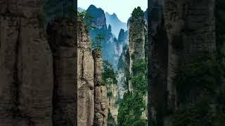 #CK#Nature#Place@#Love Nature #CK