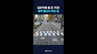 길바닥에 뭘 한 거야!…새벽 울산서 무슨 일 #shorts