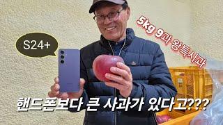 엔부사과 특대과 설 명절선물 소개(2:40분부터) 25년 농장계획