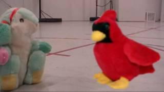 Ninja Bunny meets the Cardinals