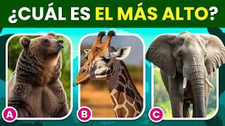 ¿Cuánto sabes de los ANIMALES?  | Test de Conocimientos - Edición Animal  | Quiz Animales