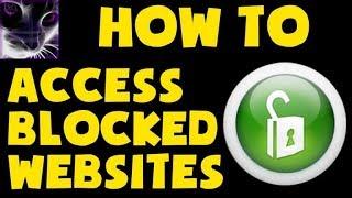 HOW TO UNBLOCK ANY SITE IN SECONDS///EASY METHOD//TECHNO RISE