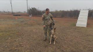 The bond between Fort Cavazos soldiers and their military K-9's | Beyond the Battlefield