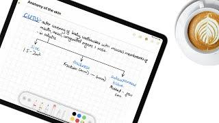 Complete review of Apple Notes in iPadOS 14 (public beta)