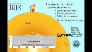 Earthquake Sends Seismic Waves to one station (educational