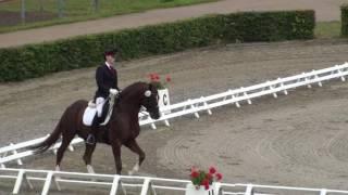 REITEN und ZUCHT-Video: Anna Weilert auf Quaterback