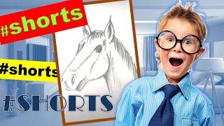 Как нарисовать лошадь  How to draw a horses head #short