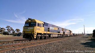 4PM4 Pacific National Steel Train With NR95 & NR55 At Gheringhap Loop (11/8/2024) - PoathTV