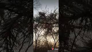 КСЕНИЯ КРАЙТ.#СНЕЖНИЙ ЧЕЛЕНДЖ. ВСЁ ВСЕ _ТАКИЕ  ЗИМА  _ЭТО ВОЛШ...НОЙ.   #VEKLYHİGHLİGHTS.. İSHODNİİ.