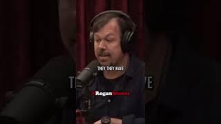 Joe Rogan Relationship with Chimps