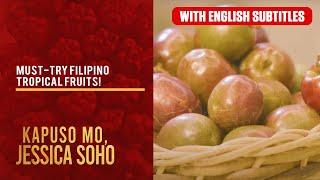 Must-try Filipino tropical fruits! (with English subs) | Kapuso Mo, Jessica Soho