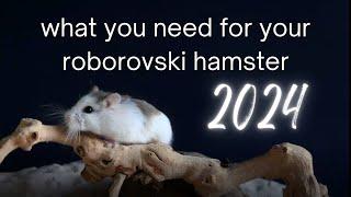 What you need for your roborovski hamster in 2024 | essentials, nice to have and what not to buy