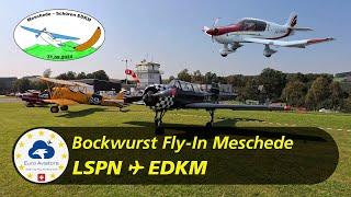 Flug zum Bockwurst Fly-In Meschede 2024  | Triengen (LSPN) ︎ Schüren (EDKM) | VFR