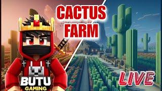 CACTUS FARM SPECIAL LIVESTREAM IN DG NETWORK #butugaminglive