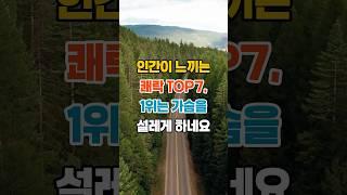 인간이 느끼는  쾌락 TOP7  #명언 #부자의삶 #좋은글
