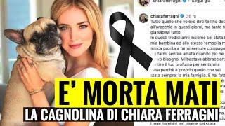 È MORTA MATI: LA CAGNOLINA DI CHIARA FERRAGNI. IL TRISTISSIMO ANNUNCIOIO POCO FA