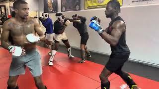 MMA Classes Brooklyn