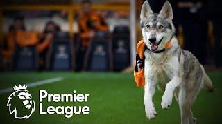 Why Wolverhampton Wanderers are known as Wolves | Premier League: Ever Wonder? | NBC Sports