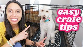 FIRST NIGHT: Crate Training 5 Easy Steps 