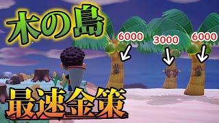 【あつ森】超激レア離島『木の島』で最強金策！ゴライアスオオツノハナムグリやニジイロクワガタが大量に出現!!【あつまれ どうぶつの森】【ぽんすけ】