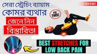 কোমর ব্যথার সেরা বৈজ্ঞানিক ব্যায়াম এবং আপনার যা যা জানা প্রয়োজন #কোমরব্যথা #lowbackpain #plid #l4l5