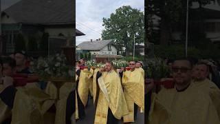 SFÂNTUL IOAN CEL NOU #shorts #bogdanblog #ortodox #credinta #biserica #shortsvideo #viral #suceava