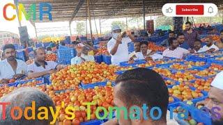 Today's Tomato rates at CMR Mandi, Kolar Karnataka 29 October 24 