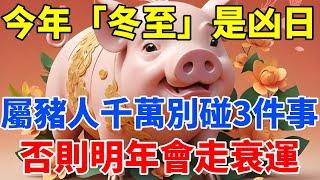 今年「冬至」是凶日！提醒屬豬人：最不能做的3件事，千萬不要碰，否則明年會走衰運！【佛語禪音】#生肖 #命理 #運勢 #屬相 #風水