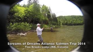 Jon Huff lands 17 lb Atlantic Salmon at Two Brooks Lodge on the Upsalquitch River