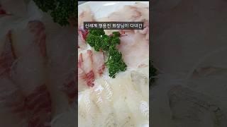 부산/정용진맛집/동백섬/자연산회/4