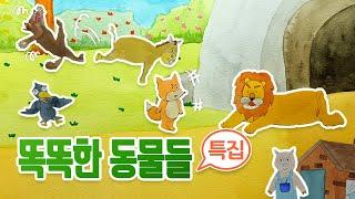 [동화책 모음집] 똑똑한 동물들 특집 동화 / 중간광고 없는 동화