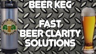 Beer Keg Clarity Solutions For Homebrewers