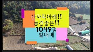 산자락아래 자리한 집터부지/1049평/갈전리(정선임계부동산)