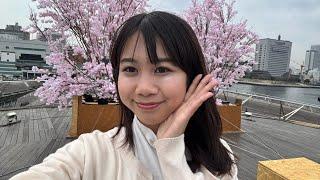 Japan Live  Epic Stream Day! Beautiful Kamakura to Enoshima to Yokohama! + Announcement! ️