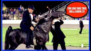 "Big Lick JOE PA" Says "HECK NO,  I WON'T GO" at Tennessee Walking Horse Celebration Championship!!!