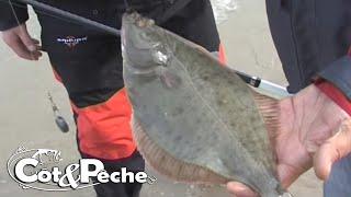 Les poissons plats de la fameuse digue carnot, Boulogne sur Mer.