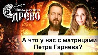 А что у нас с матрицами Петра Гаряева?